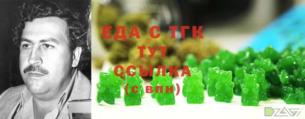 прущий лед Бородино