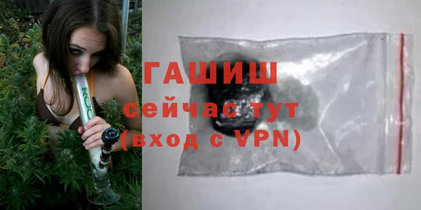 гашик Верея