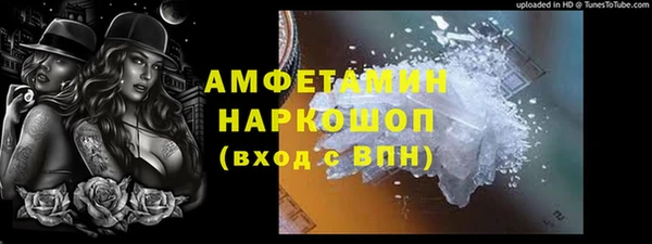 гашик Верея