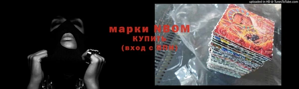 прущий лед Бородино