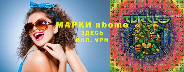 прущий лед Бородино