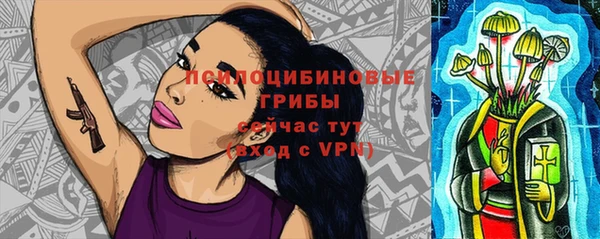 прущий лед Бородино