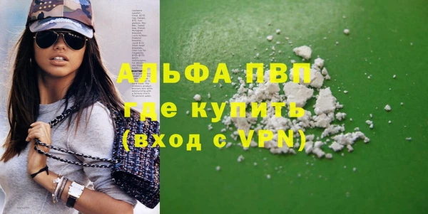 гашик Верея