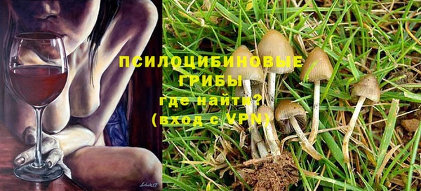 крисы Бугульма