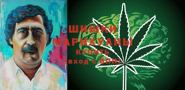 крисы Бугульма