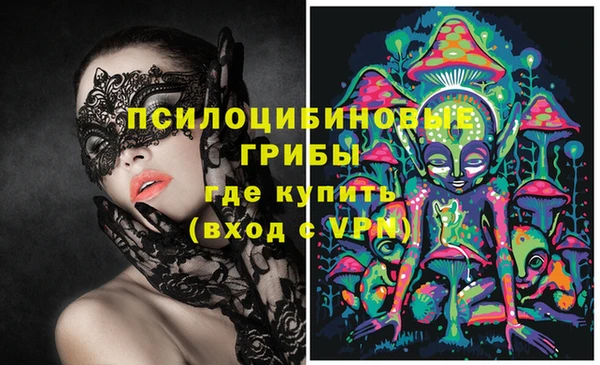 прущий лед Бородино