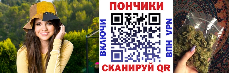 Шишки марихуана сатива  купить  сайты  Вельск 